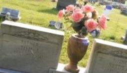Nettie Mirer Newsome Langley