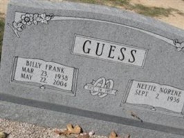 Nettie Norene Guess