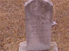 Nettie Olean Copeland