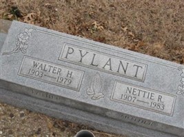 Nettie R Pylant Nettie R Pylant