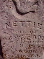 Nettie Ream Nettie Ream