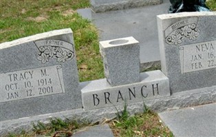 Neva R Branch Neva R Branch