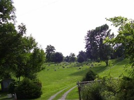 New King Hill Cemetery