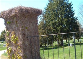 New Willimantic Cemetery