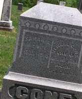 Newell Cone