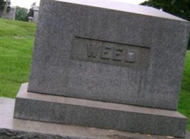 Newell Phipps Weed Newell Phipps Weed