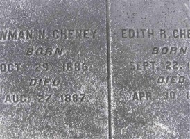 Newman Noggs Cheney