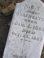 Newton B. Vester