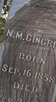Newton M Gingrich Newton M Gingrich