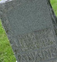 Niagra Parkey Hargis Adkins