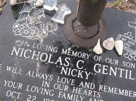Nicholas C Gentile