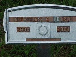 Nicholas C Petro