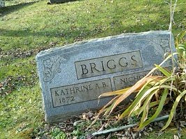 Nicholas K Briggs