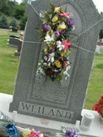 Nicholas P. Weiland