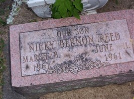 Nicky Bernon Reed Nicky Bernon Reed