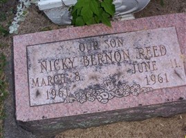 Nicky Bernon Reed