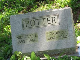Nicolas E Potter Nicolas E Potter