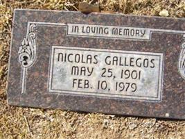 Nicolas Gallegos