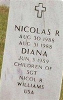 Nicolas R Williams Nicolas R Williams