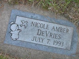 Nicole Amber DeVries