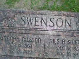 Niels A Swenson