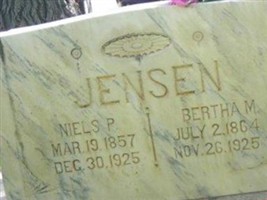 Niels P Jensen