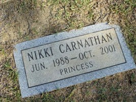Nikki Carnathan Nikki Carnathan