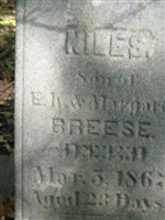 Niles Breese