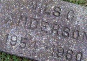 Nils G Anderson