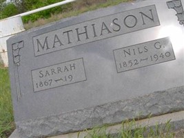 Nils G Mathiason