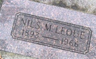 Nils M Leque