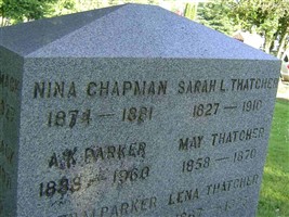 Nina Chapman Nina Chapman