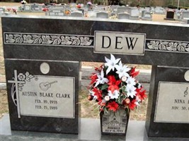 Nina Lee Dew Nina Lee Dew