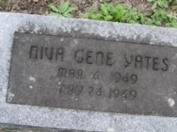 Niva Gene Yates Niva Gene Yates