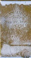 N J Nettleton N J Nettleton