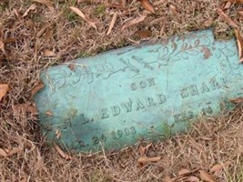 N. L. Edward Sharp N. L. Edward Sharp
