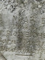 Noah D. Cheek