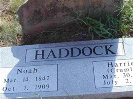 Noah Haddock