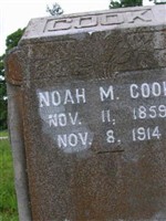 Noah M Cook