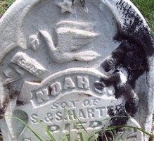 Noah S Harter