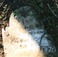 Noah W. Counts