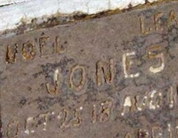 Noel Lee Jones Noel Lee Jones