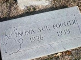 Nona Sue Pointer (2391151.jpg)