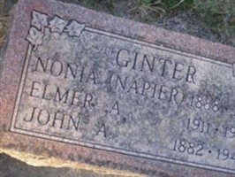 Nonia Napier Ginter Nonia Napier Ginter