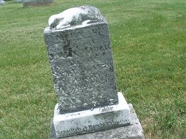 Nora A Mauck