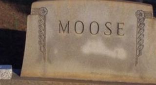 Nora Grace Moose