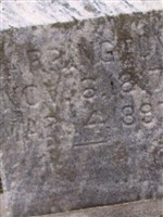Nora Harrington