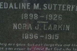 Nora J Larkin