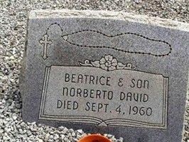 Norbert Torres