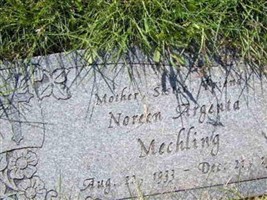 NOREEN ARGENTA MECHLING NOREEN ARGENTA MECHLING